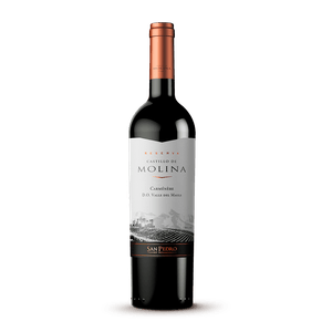 Vino Tinto Castillo De Molina Reserva Carmenere