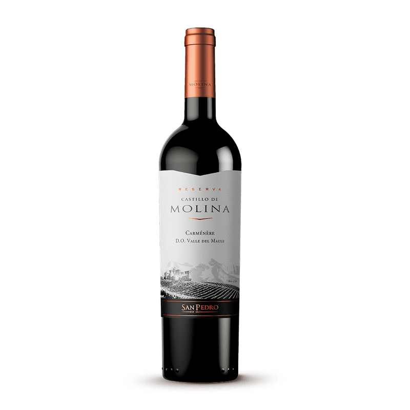 1-100213-VINO-CASTILLO-DE-MOLINA-CARMENERE-750