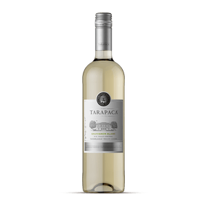 Vino Blanco Tarapacá Sauvignon Blanc Varietal