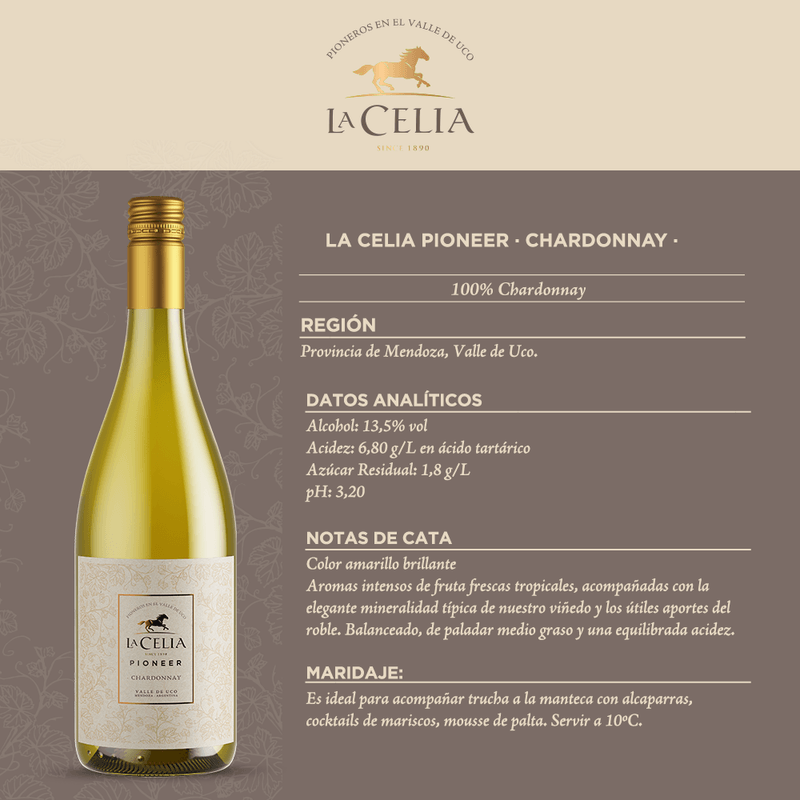 109218-VINO-LA-CELIA-BLANC-CHARDONAY-PIONEER-750-3