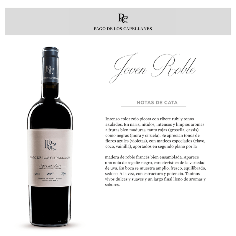 207000-VINO-TTO-PAGO-DE-CAPELLANES-JOVEN-750-3