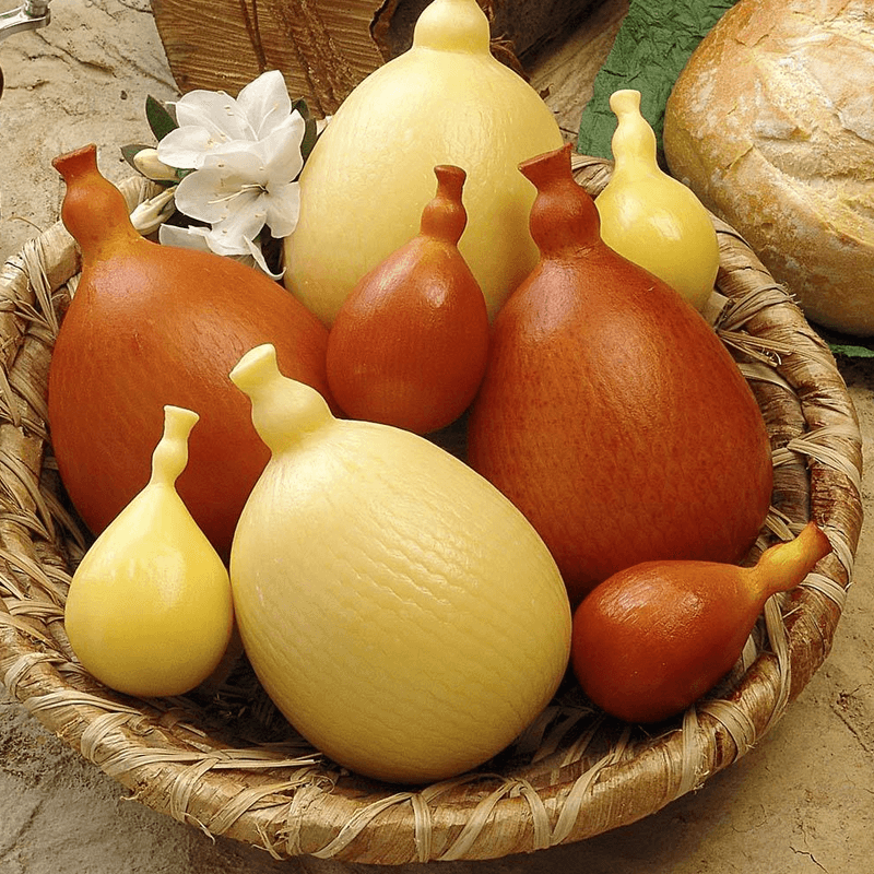 955034-QUESO-CACHOCAVALO-DEL-VECCHIO-100-GR-3.png