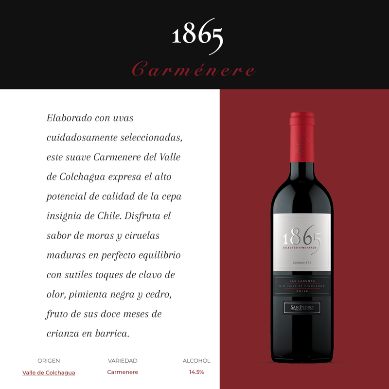 100209-VINO-1865-CARMENERE-750ML-3