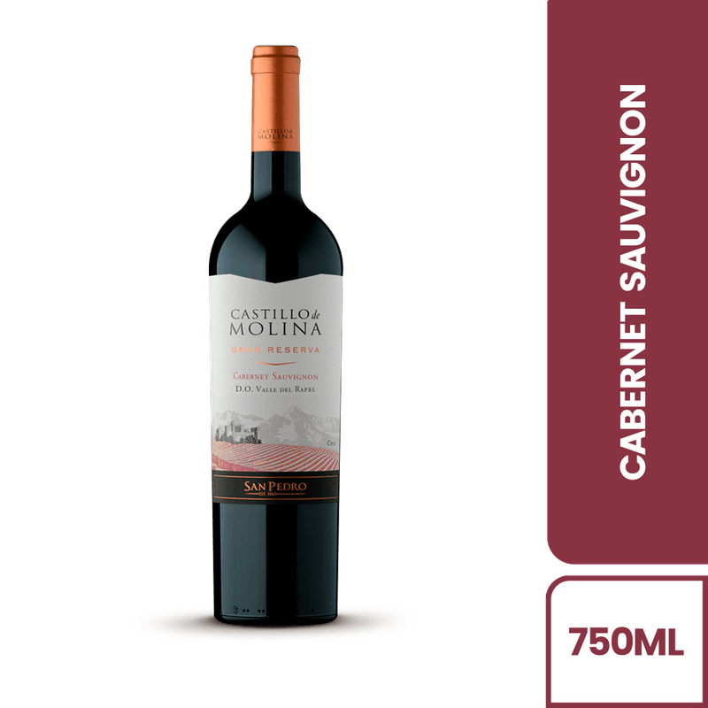 100081-VINO-CASTILLO-DE-MOLINA-CAB-SAUV-2