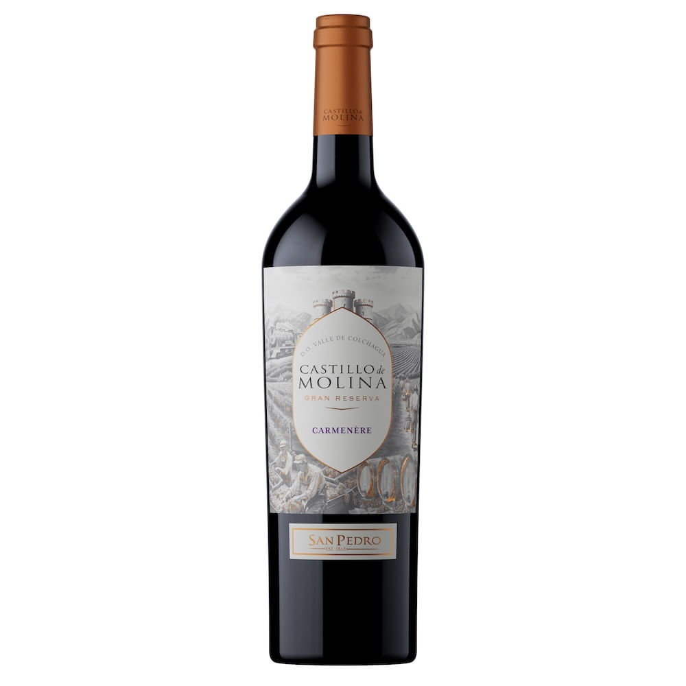 Vino Tinto Castillo De Molina Reserva Carmenere - Vinos, Whisky